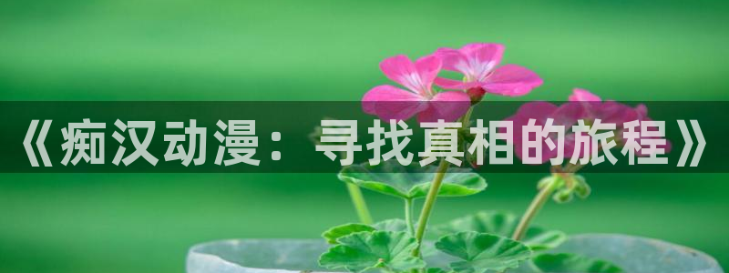 韩国漫画平台kakaopage：《痴汉动漫：寻找真相的旅程》