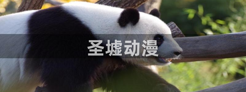 age动漫omofun：圣墟动漫