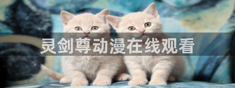 age动漫专注动漫的门户网站：灵剑尊动漫在线观看