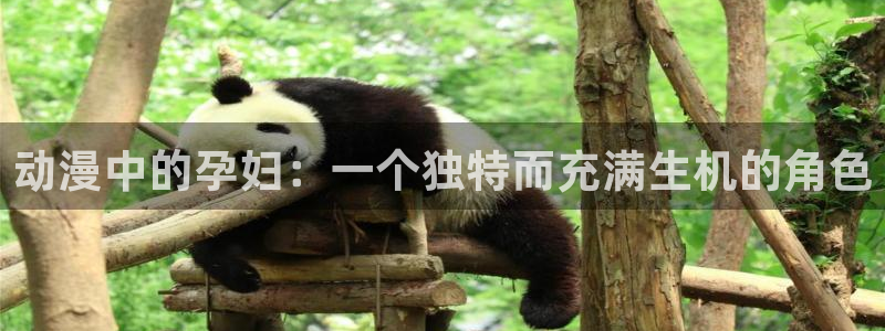 age动漫下载入口：动漫中的孕妇：一个独特而充满生机的角色