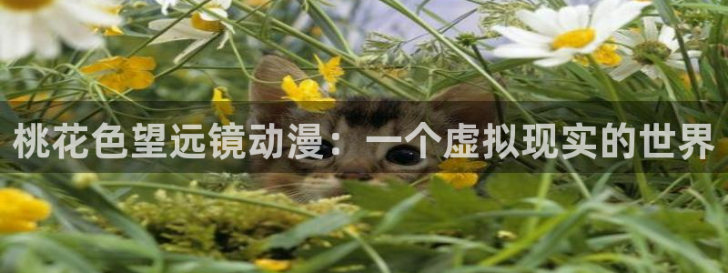 colamanage漫画下载：桃花色望远镜动漫：一个虚拟现实的世界