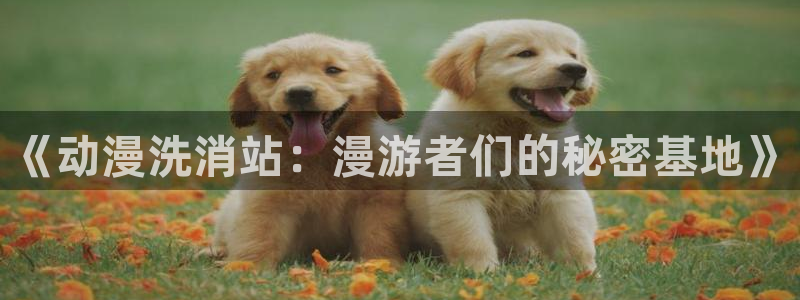 age动漫网：《动漫洗消站：漫游者们的秘密基地》