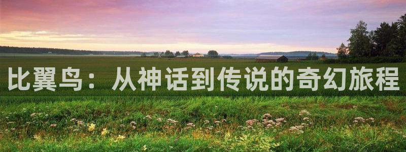age动漫：比翼鸟：从神话到传说的奇幻旅程