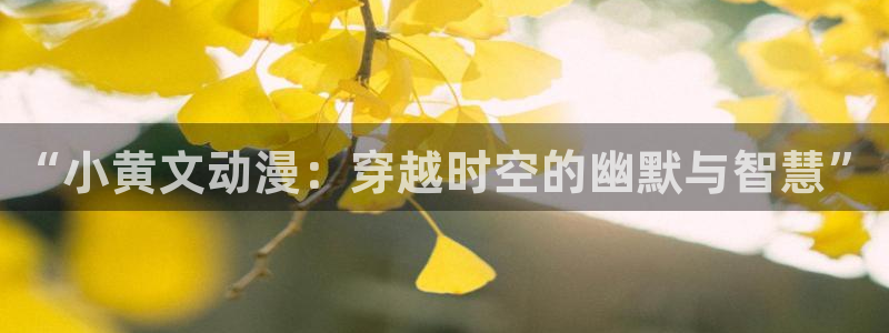 age专注动漫的门户网站：“小黄文动漫：穿越时空的幽默与智慧”