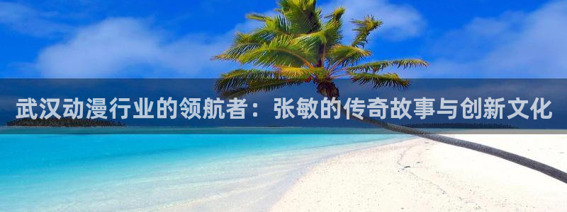 age动漫omofun：武汉动漫行业的领航者：张敏的传奇故事与创新文化