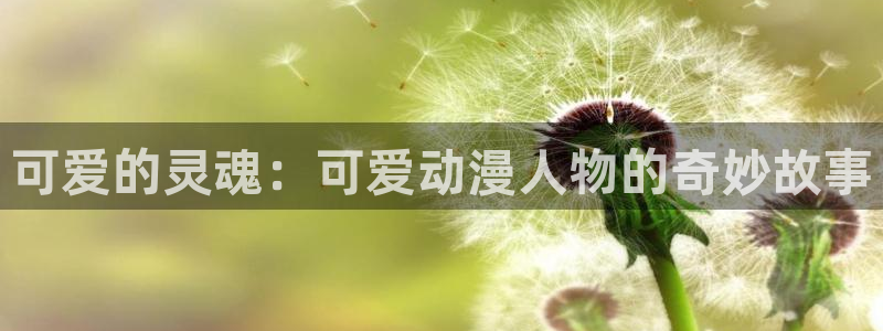 age动漫：可爱的灵魂：可爱动漫人物的奇妙故事