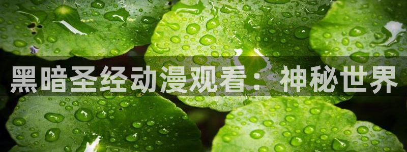 age动漫下载动漫全免费：黑暗圣经动漫观看：神秘世界