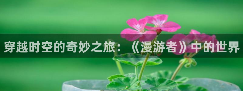 age动漫官网版入口：穿越时空的奇妙之旅：《漫游者》中的世界