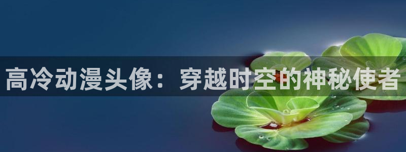 age动漫官网入口老版本：高冷动漫头像：穿越时空的神秘使者