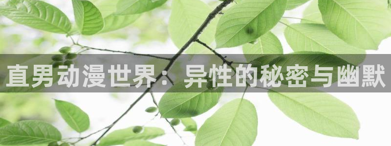 volcanicage漫画：直男动漫世界：异性的秘密与幽默