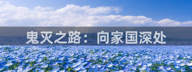 age动漫下载入口：鬼灭之路：向家国深处