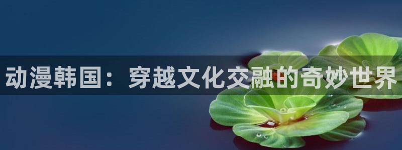age动漫下载网：动漫韩国：穿越文化交融的奇妙世界