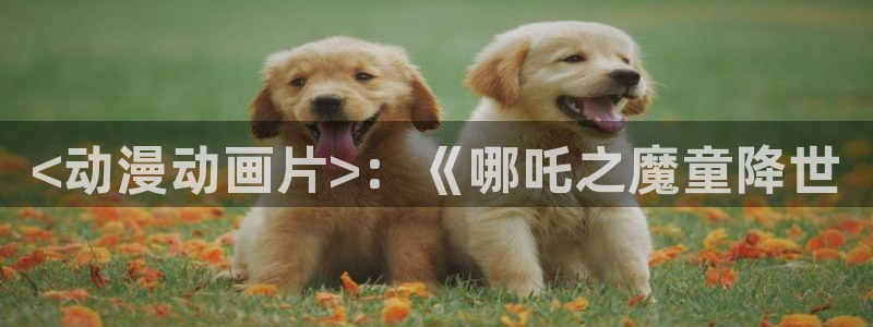 age动漫官网版入口：<动漫动画片>：《哪吒之魔童降世